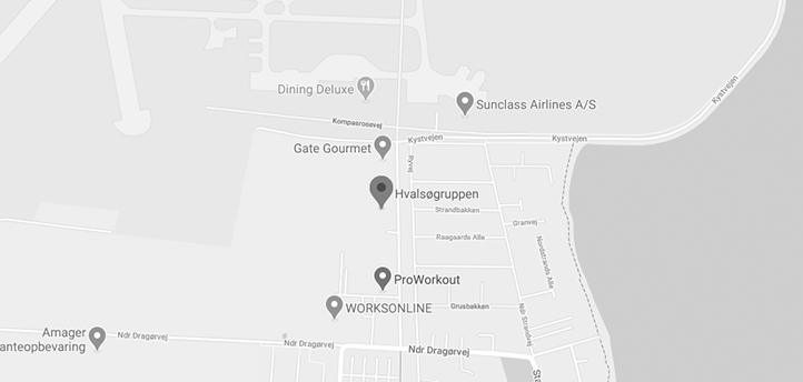 Google Maps lokation for Hvalsø gruppens erhvervsudlejning.