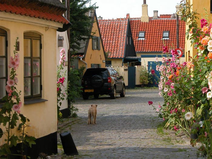 Billede af Dragør by.